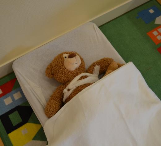 Zieke beer