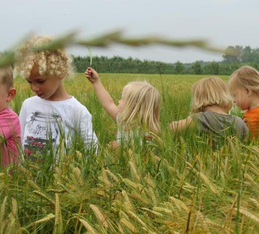 Kinderen lopen door hoog gras