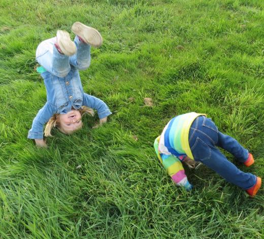 Koprol maken - Gastouders